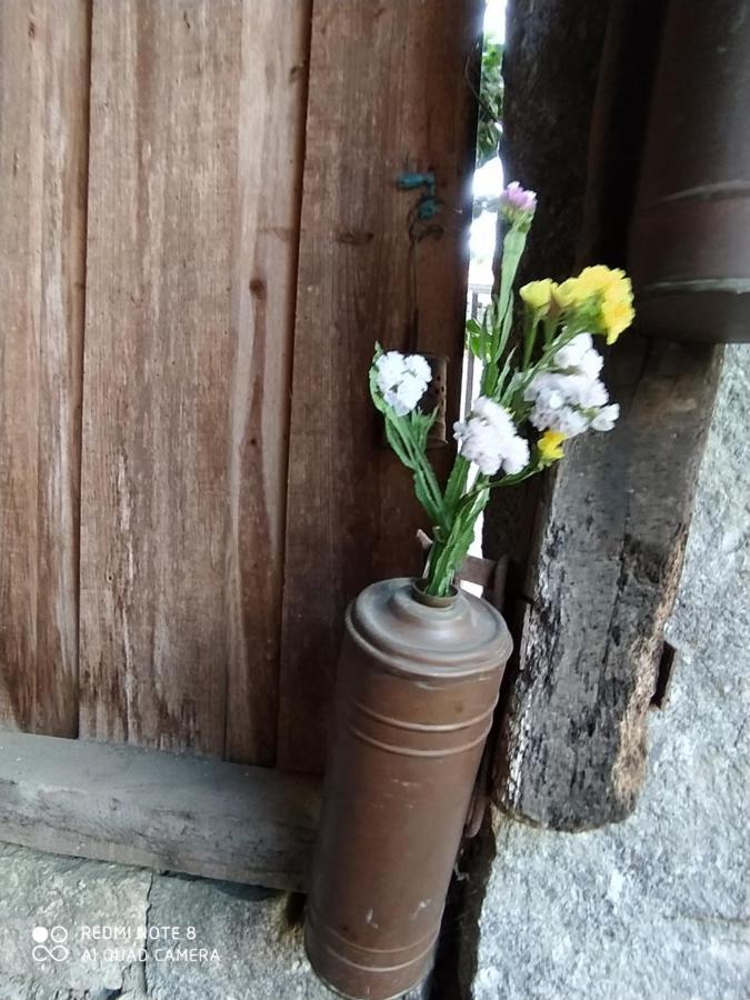 Casa Das Japoneiras Paredes de Coura Eksteriør bilde